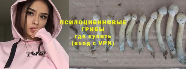 соль ск Балахна