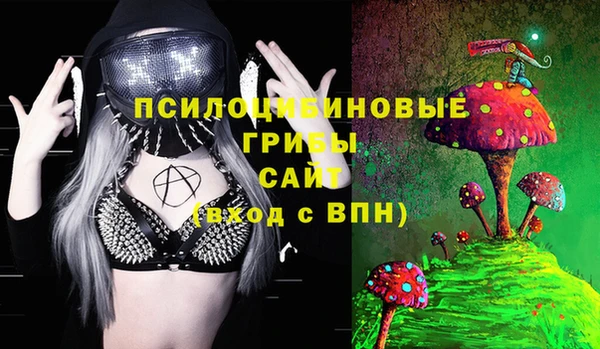 ГАЛЛЮЦИНОГЕННЫЕ ГРИБЫ Балабаново