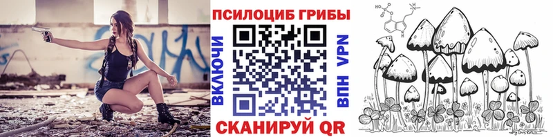 Псилоцибиновые грибы GOLDEN TEACHER Сланцы